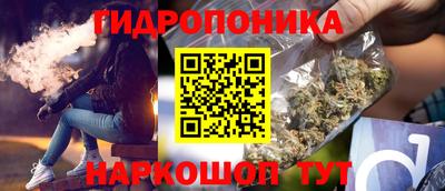 ПСИЛОЦИБИНОВЫЕ ГРИБЫ Кинель