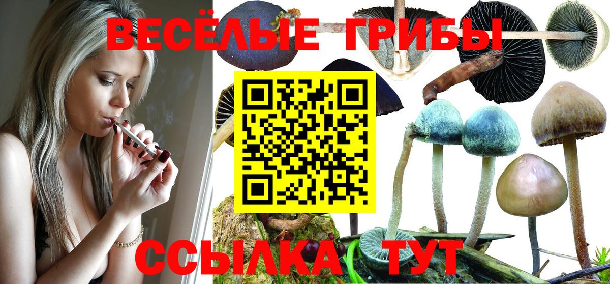Уварово  Галлюциногенные грибы Cubensis  Вход с VPN  Псилоцибиновые грибы GOLDEN TEACHER 